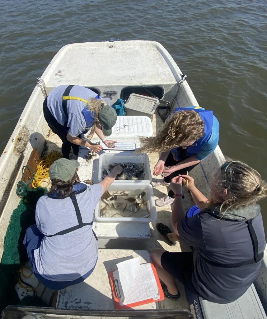 WhatsMyBait-team-sorting-specimans