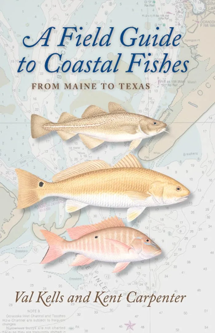 Field Guide to Coastal Fishes